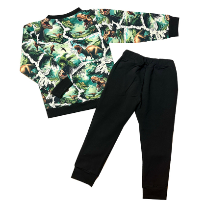 Dres bawełniany chłopięcy Star Kids - DINOZAURY